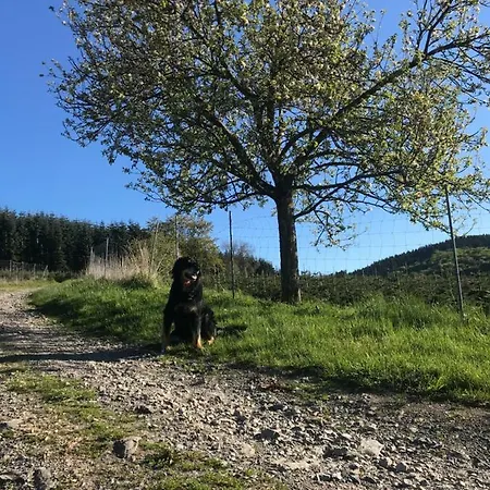Ortmanns Eulennest Holiday home *