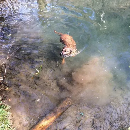 Nyaraló Ortmanns Eulennest