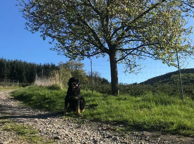 Ortmanns Eulennest Casa vacanze *