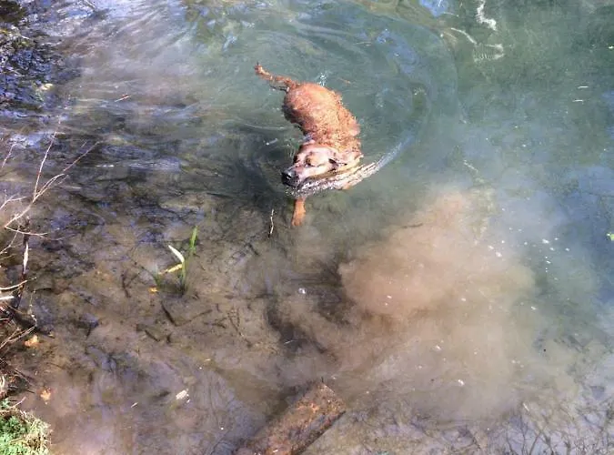 Holiday home Ortmanns Eulennest